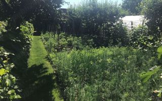 BRASADAS vinde casa individuala Lucian Blaga. - Poză 6