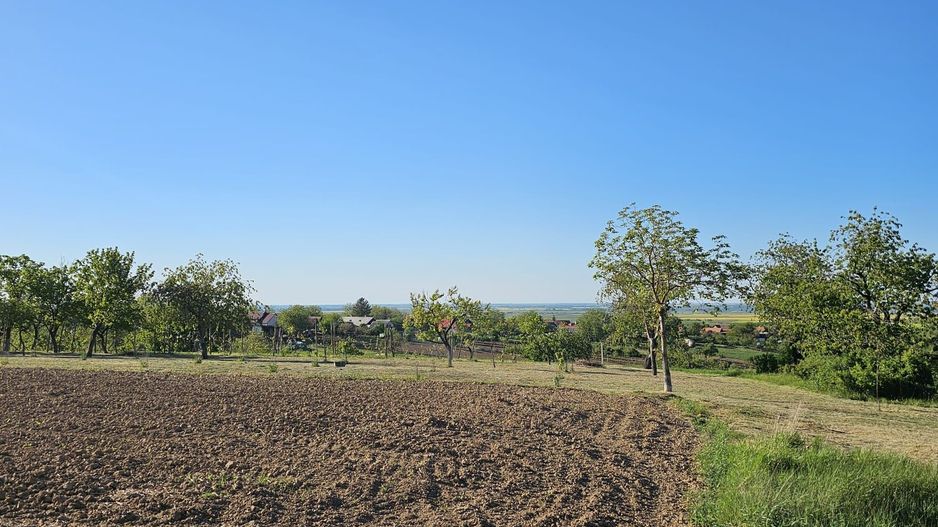 Teren intravilan Cetariu 5000 mp - Poză 2