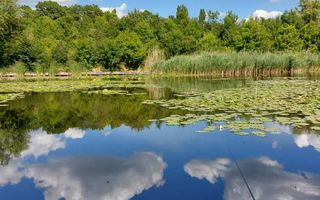 Vila cu ponton la lacul Snagov - Poză 2