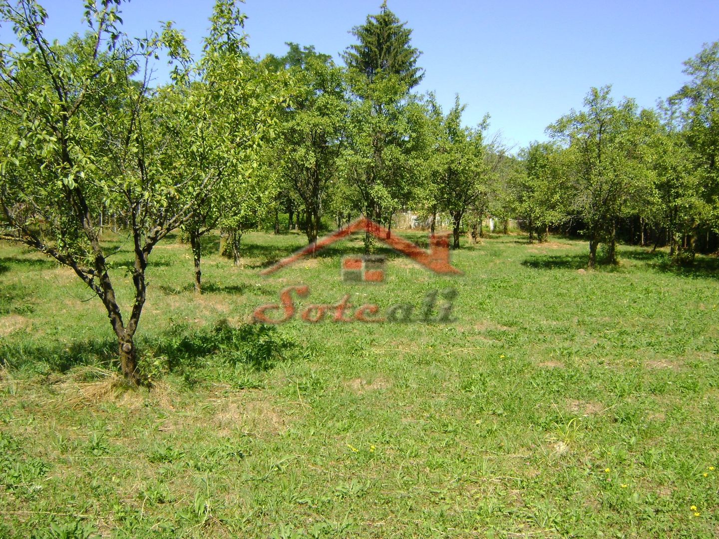 Teren  de vanzare Cornu 1919 mp - Poză 6