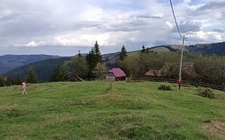 Teren Intravilan | Brodina de Jos | 16900 MP - Poză 3