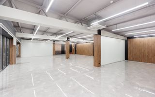 Chirie, spațiu comercial, 262 mp, str. Brincuși, Botanica. - Poză 9