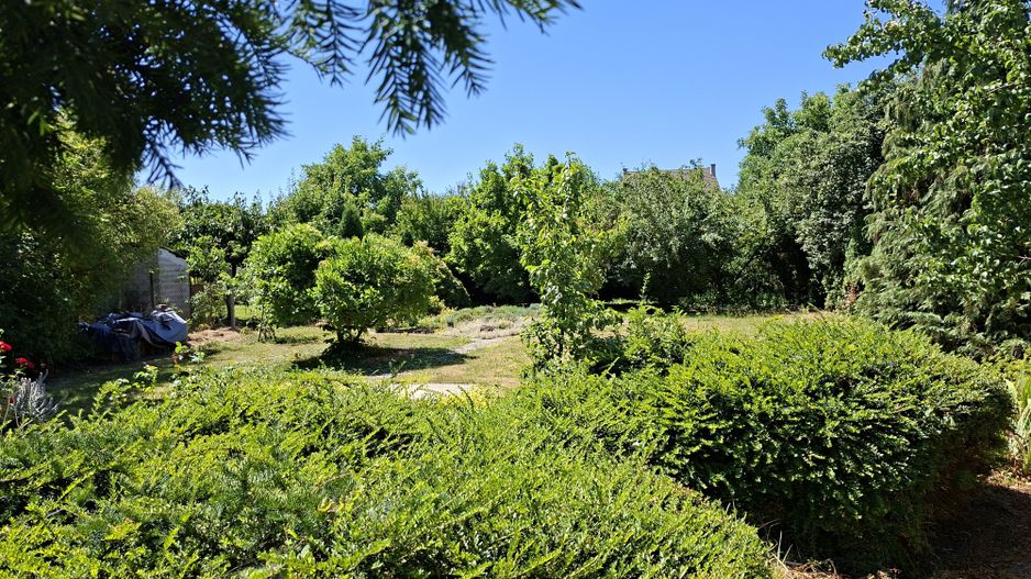 BRASADAS vinde casa P+M 6 cam 227mp teren 11 ari in 14 Mai. - Poză 17