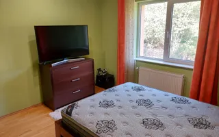 Vilă în Făget | Sediu companie | 2.412 mp teren 8 parcări - Poză 36