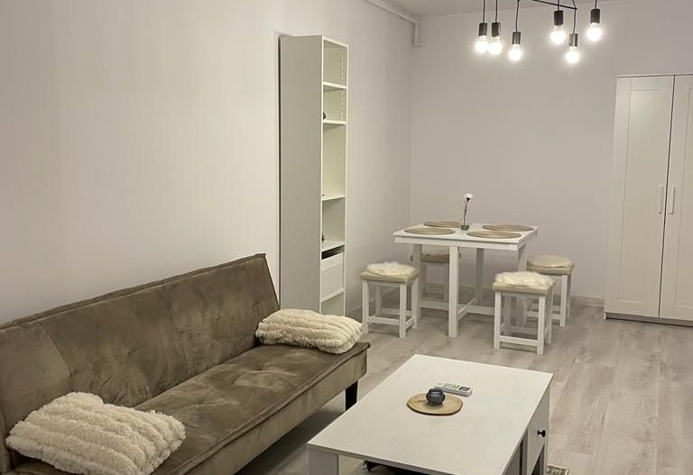 Apartament 2 cam utilat si mobilat in  HILS  PALLADY - Poză 5
