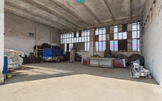 Complex industrial cu hale și teren  în Orțișoara - Poză 14