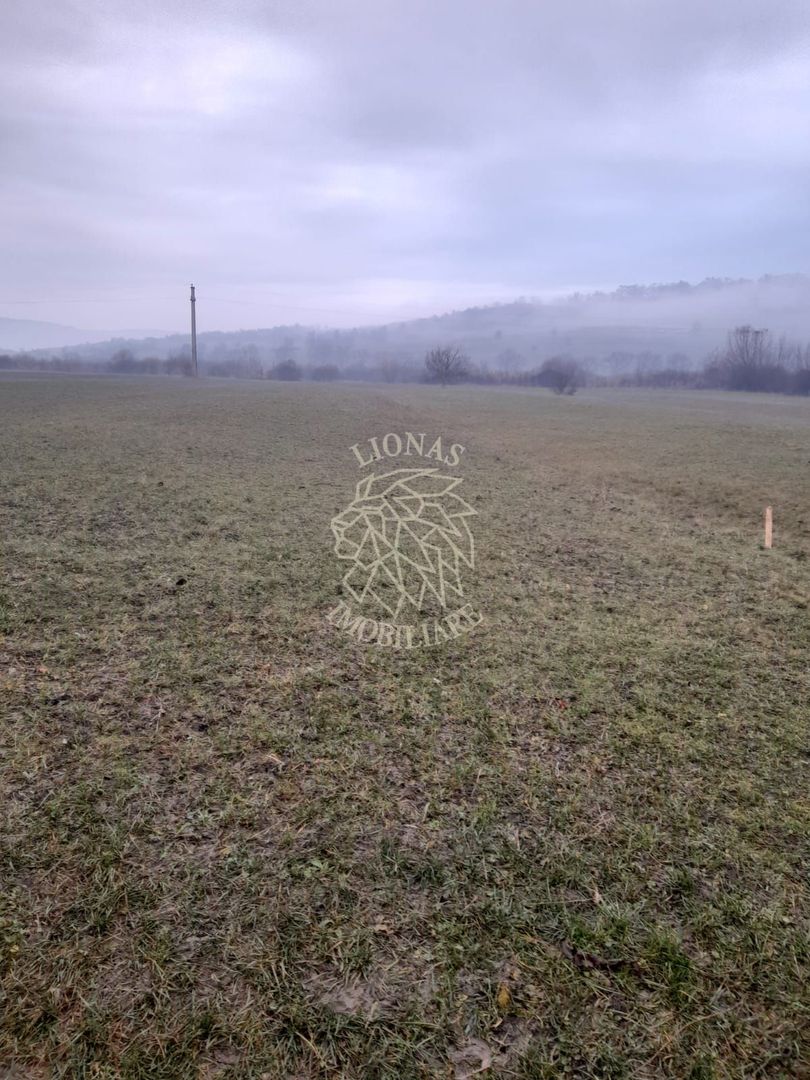 Teren 1698 mp-ideal investitie-Dumitrita, 15 km de Bistrita - Poză 2