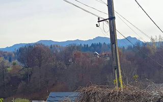 Bran Moeciu, pretabil pensiune sau dezvoltare imobiliară - Poză 7