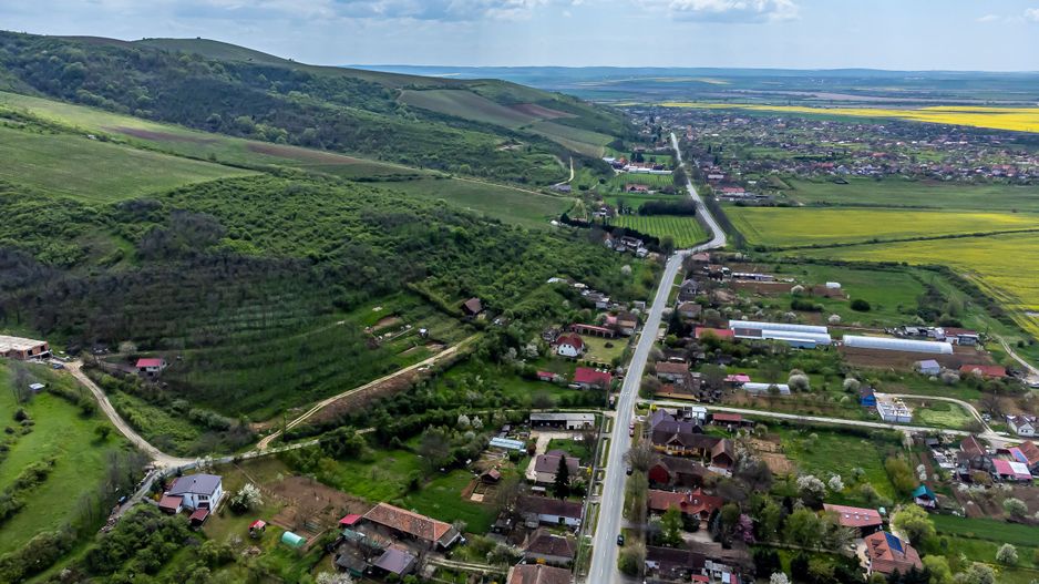 4.300 mp teren pe deal împădurit la Miniș - Poză 5