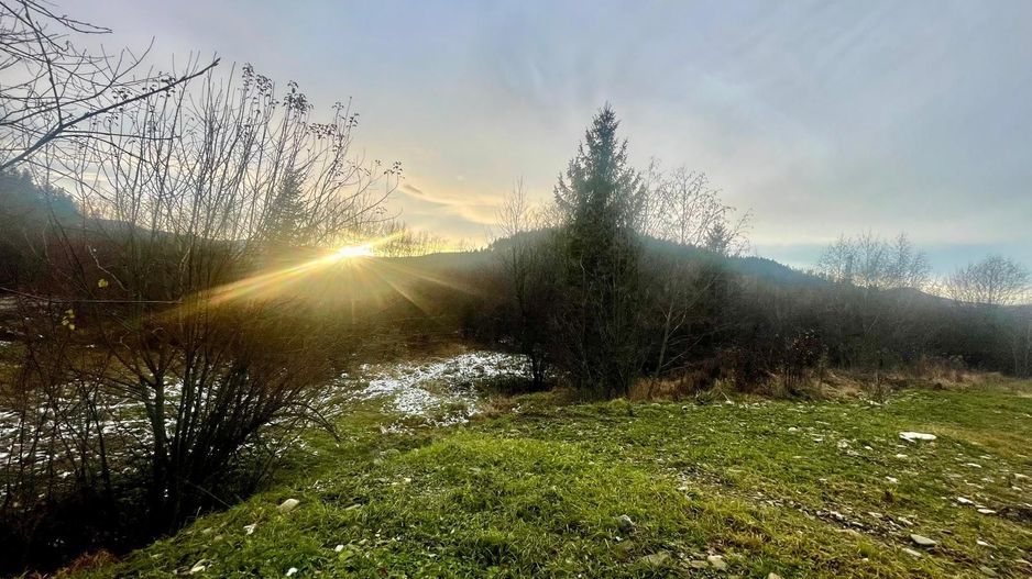 TEREN INTRAVILAN 2,26 HA | SUCEVITA | - Poză 4