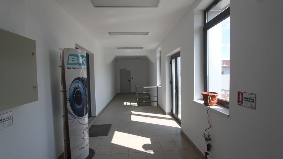 Spațiu industrial la sosea: Dumbravita - Giarmata - Poză 6