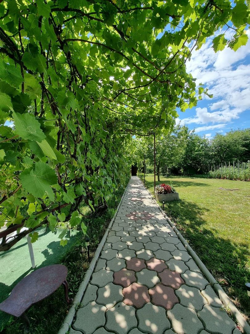 CASA+TEREN, ZONA SUD - Poză 15