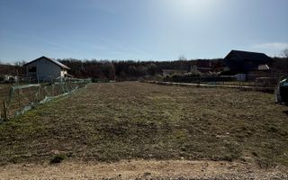 Teren intravilan 700 mp cu utilități în Paleu - Poză 2