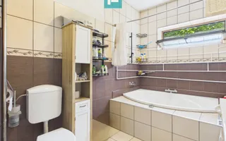 Oportunitate de investiție în Calea Lipovei - Poză 29