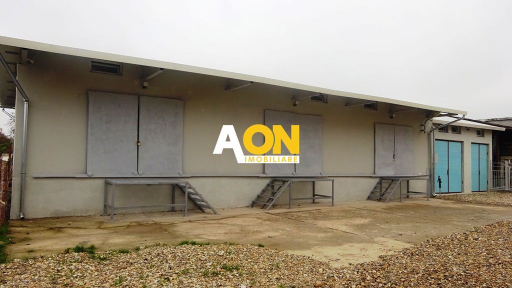 Hala de vanzare, Ampoi 3 - Poză 2