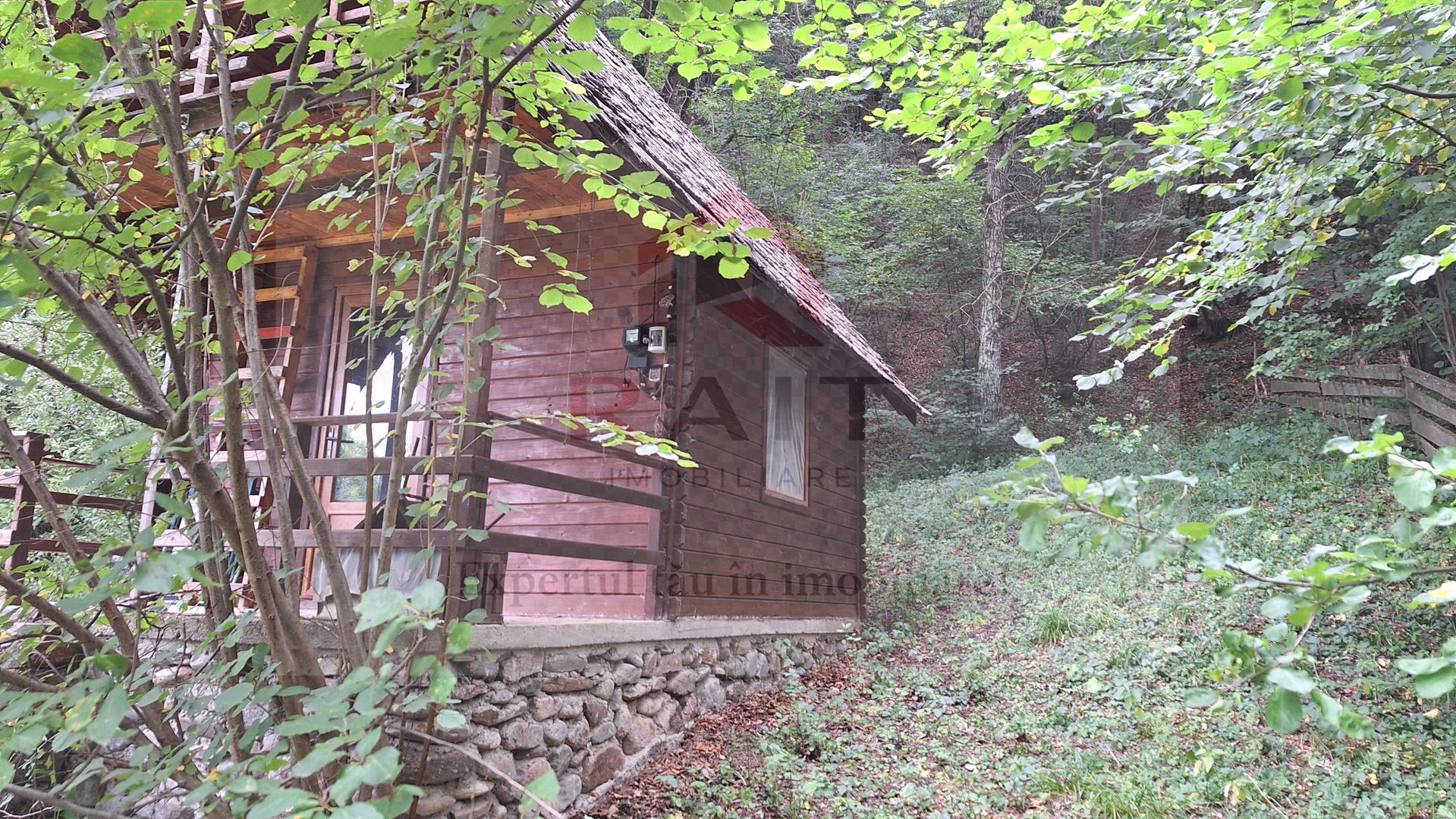 VANZARE ANSAMBLU CASUTE BRADULET ARGES - Poză 3