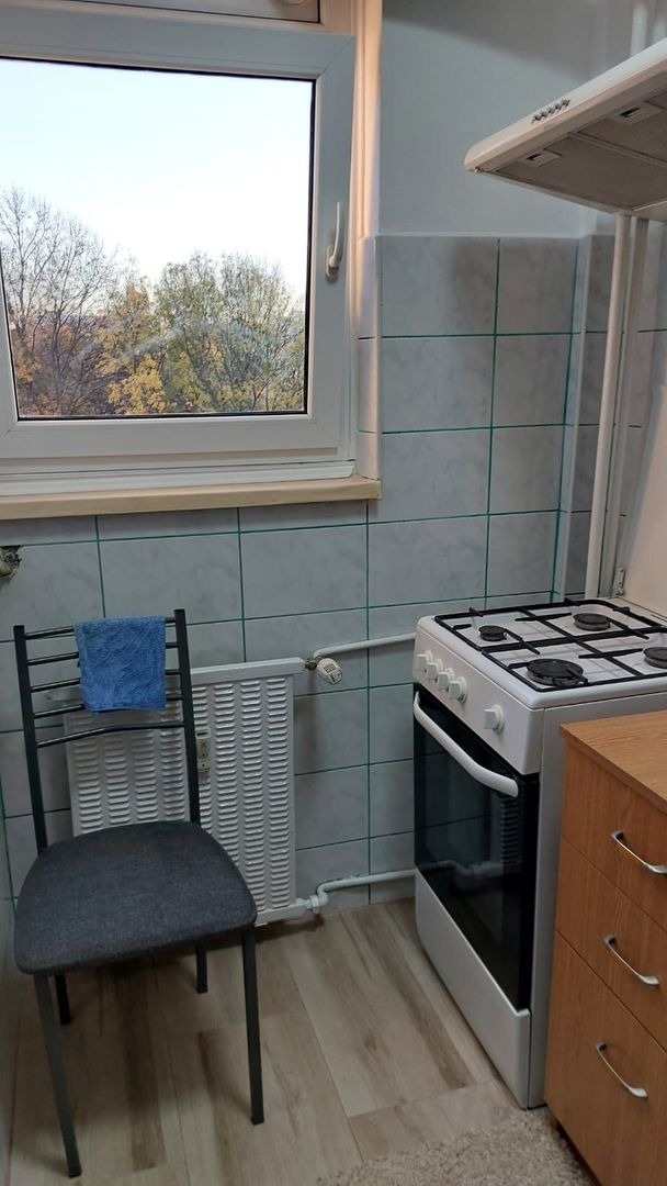 Inchiriem garsoniera zona Titan - Constantin Brancusi - Poză 10