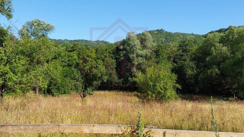 TEREN INTRAVILAN ZĂVOI\ZONA VALEA BISTREI, JUD.C-S - Poză 4