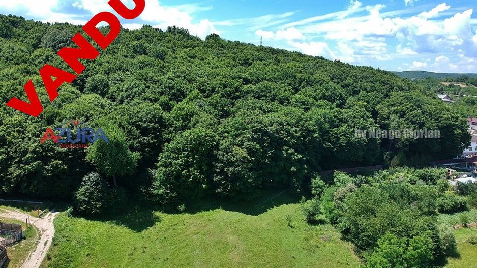 Vanzare teren 904 mp, Bascov, langa padure - Poză 1