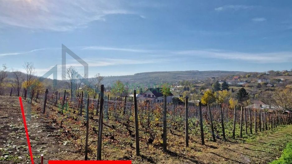 Teren intravilan 1308 mp Rediu | 9 min (5.8 km) Copou 9 min (5.8 km) Pacurari - Poză 4