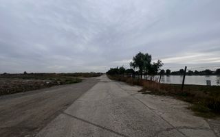 Teren industrial 17770MP Sacalaz ( Fosta ferma de Porci) - Poză 3