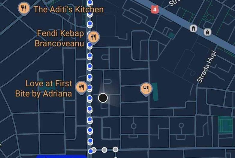 Inchiriere 2 Camere Brâncoveanu - Poză 15