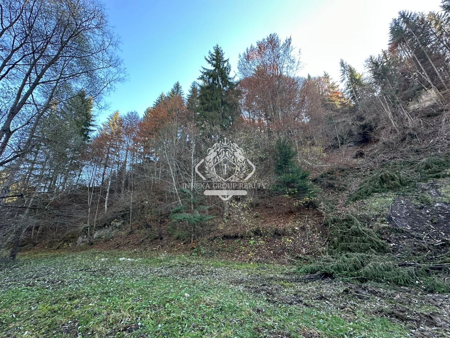 Teren 2.882 mp – oportunitate investitie - Cheile Dâmbovicioarei - Poză 6