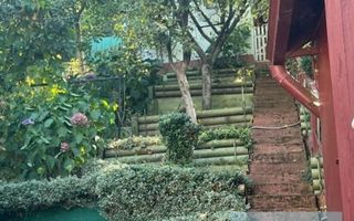 Casa singur în curte, 1000 mp teren - zona Tarlungeni - Poză 8