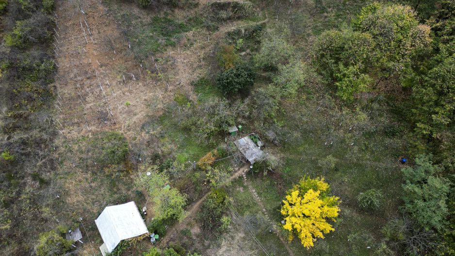 Teren 18,300mp Ghioroc - Poză 17