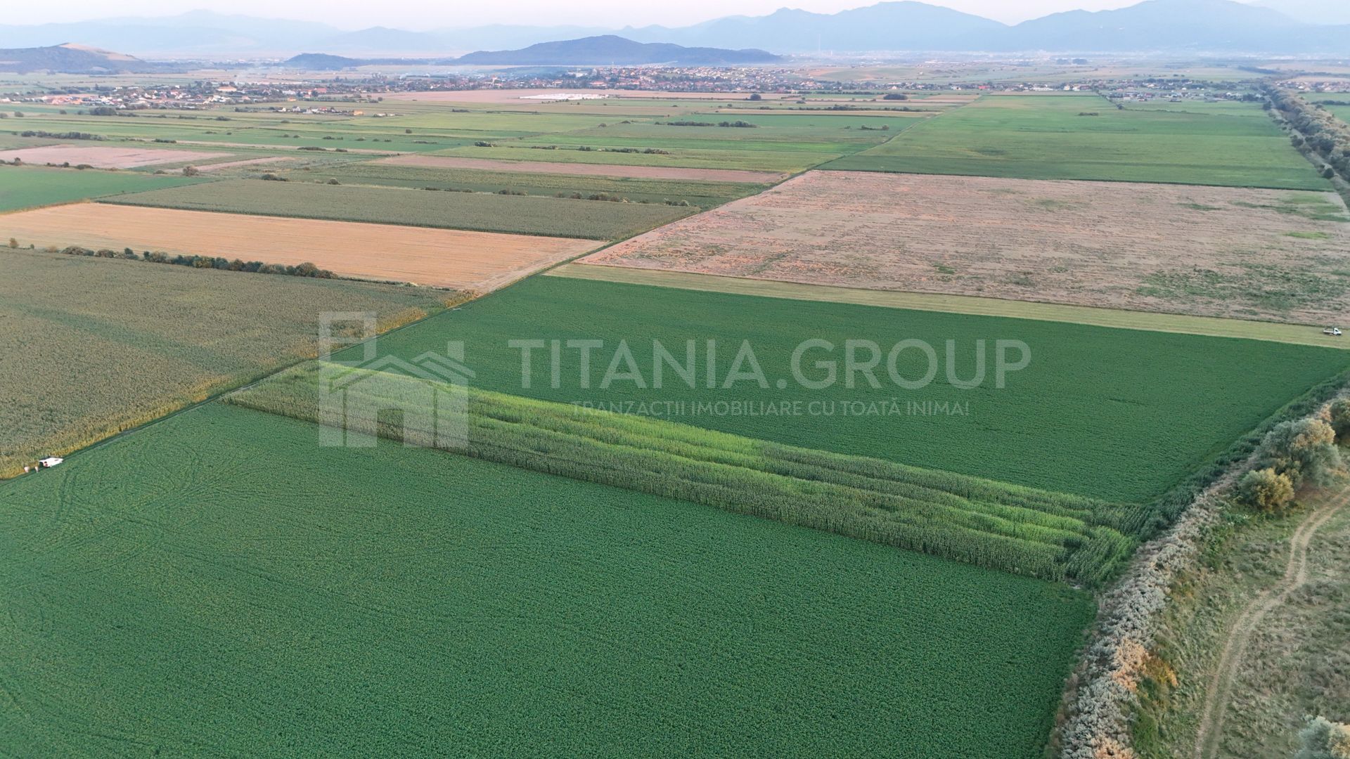 Teren extravilan, 8700 mp, pretabil agricultură sau investiție - Bod - Poză 3