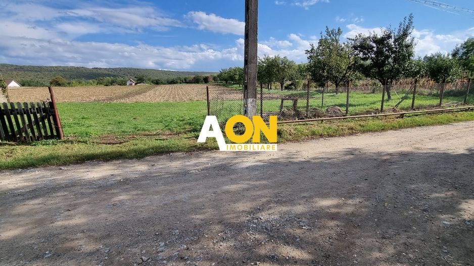De vanzare 4003mp teren , Oarda de Sus - Poză 1