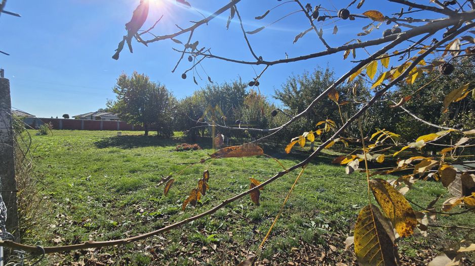 Teren Vetis, 3 parcele de 600mp , zona linistita cu strada asfaltata - Poză 2