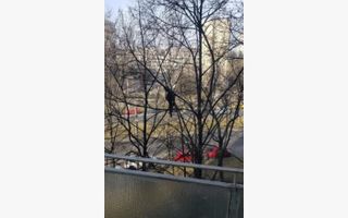 Apartament 3 camere de vanzare Romancierilor - Poză 6