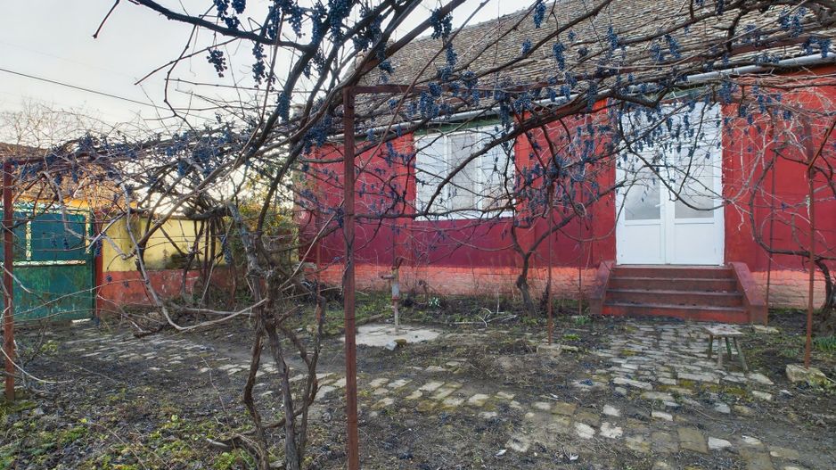 Casa Comloșu Mare, la 50 km de Timișoara - Poză 25