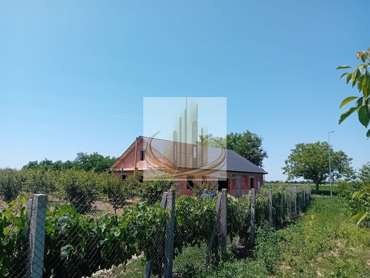 Vand/Schimb Livada Belint 16000mp - Poză 10