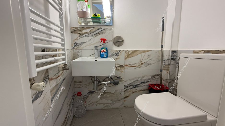 Spatiu comercial in Timisoara | zona Maria-Vad Comercial - Poză 9