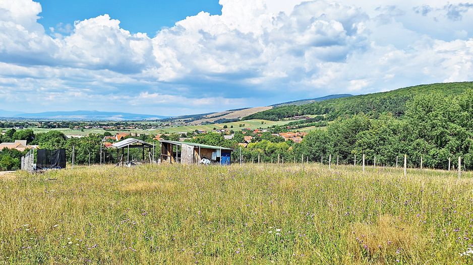 La 24 km de Brasov teren superb de 2010mp cu utilitati - Poză 12