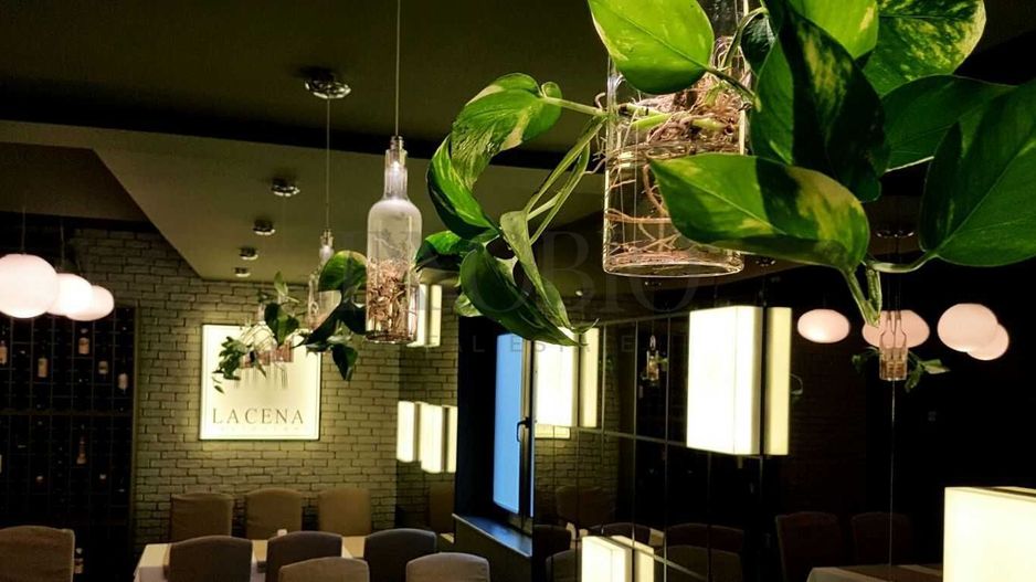 Casa/Vila | Restaurant | Terasa 120mp2 | Ultracentral - Rosetti - Poză 2