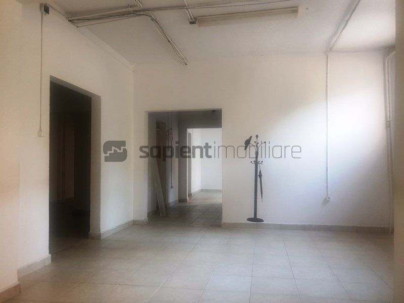 SAPIENT | Spatiu comercial pe B-dul Dacia - Poză 14