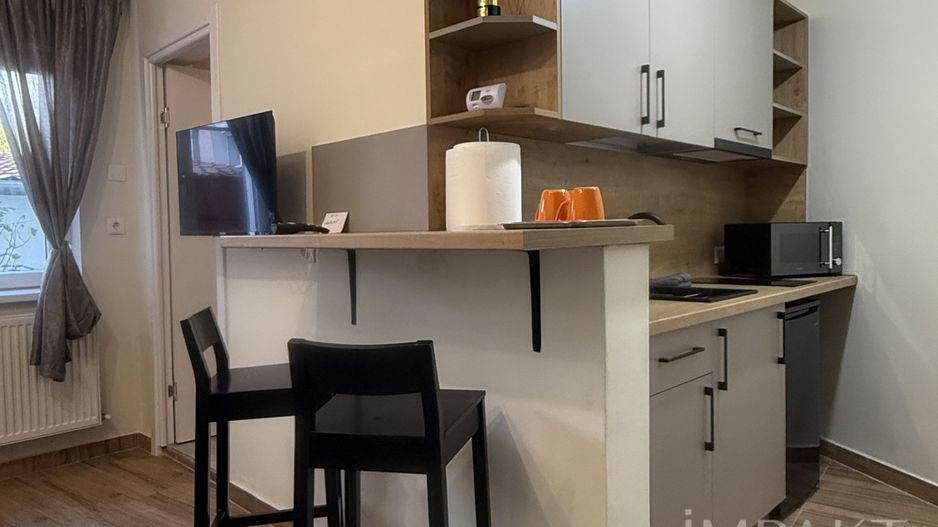 Apartament cu 3 camere si curte in Vila langa Parcul Central - Poză 2