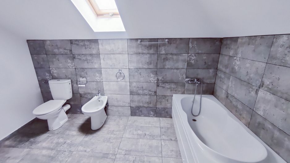 CASA SACALAZ 170 MP CU 640 MP TEREN - Poză 27