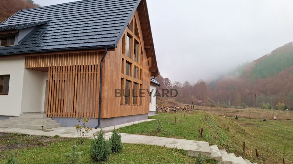 Proprietate cu potențial turistic în zona montană a Țării Lăpușului - Poză 5