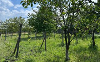 Vânzare, casă,115 mp + 18 ari, sat Corlăteni, Rîșcani - Poză 19