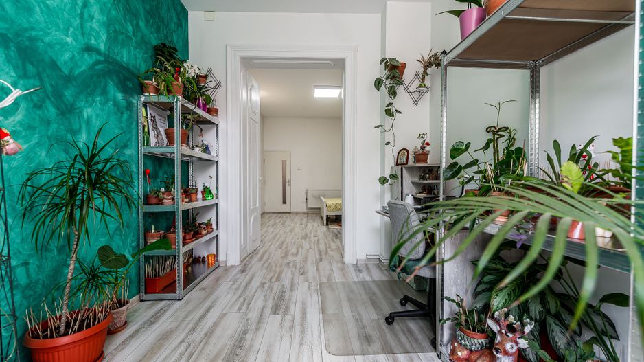 Centrul orașului, spațiu generos 2 camere, str O. Goga. - Poză 6