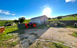 Ferma de vanzare cu 550MP utili si 27.500MP teren la asfalt - Poză 25