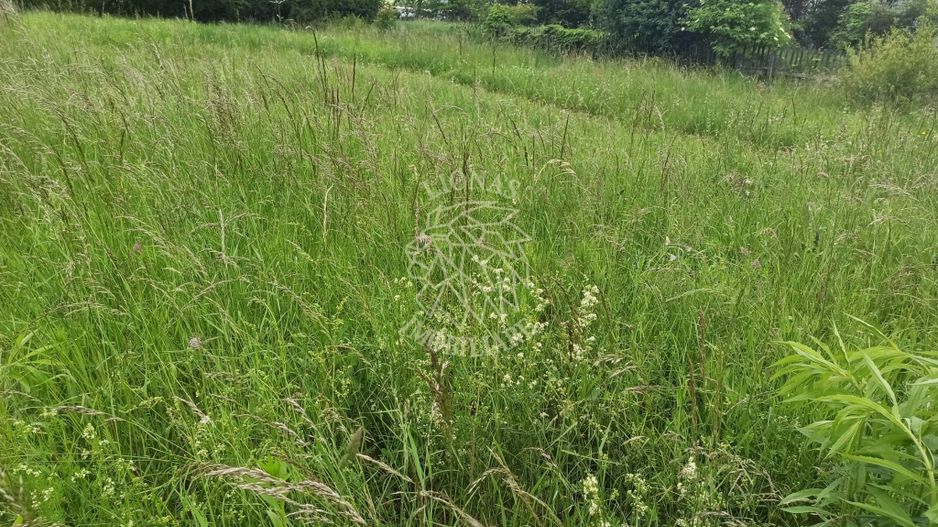 Teren intravilan la DN17 2500 mp-utilitati-Crainimat - Poză 5