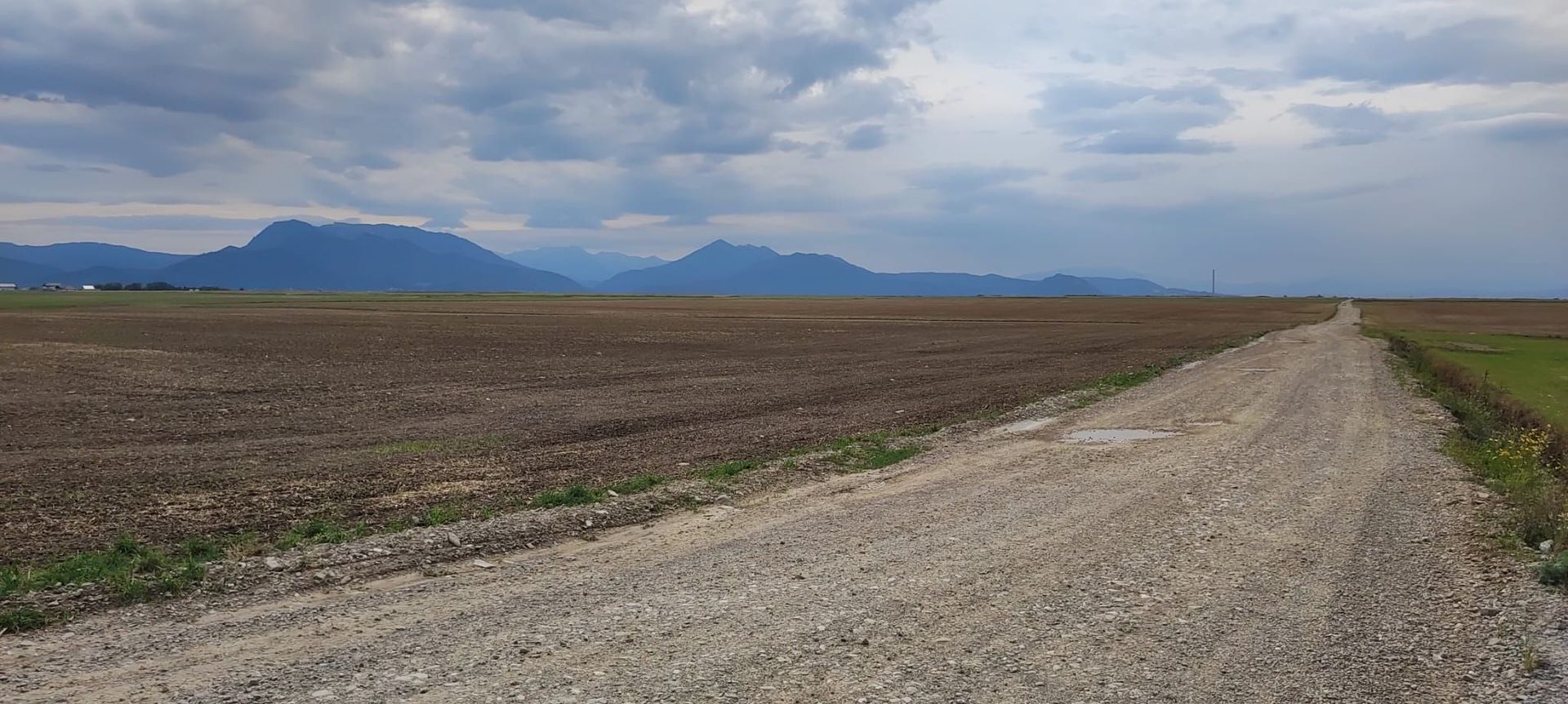 Carpinis, 10000mp-arabil, 25000Euro - Poză 3