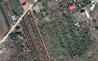 Teren intravilan 5.050 mp Tomesti–Chicerea | P+2E | casa sau parcelare - Poză 3