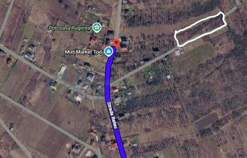 Teren intravilan de vânzare în Chicerea, comuna Tomești, str. Releu - Poză 2