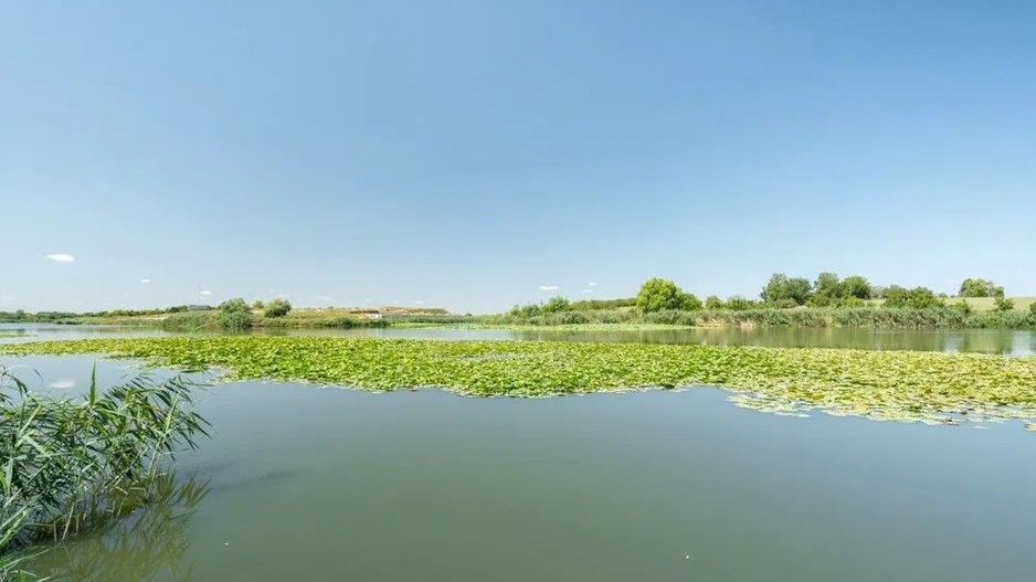 Vila exclusivistă de inchiriat | pe malul lacului Snagov - Poză 14